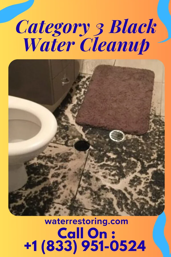 Category 3 Black Water Cleanup in Logansport, LA
