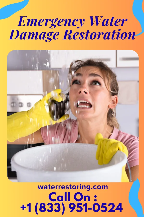 Emergency Water Damage Restoration in Logansport, LA