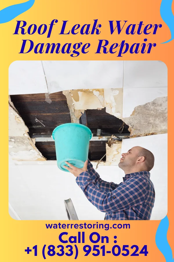Roof Leak Water Damage Repair in Logansport, LA